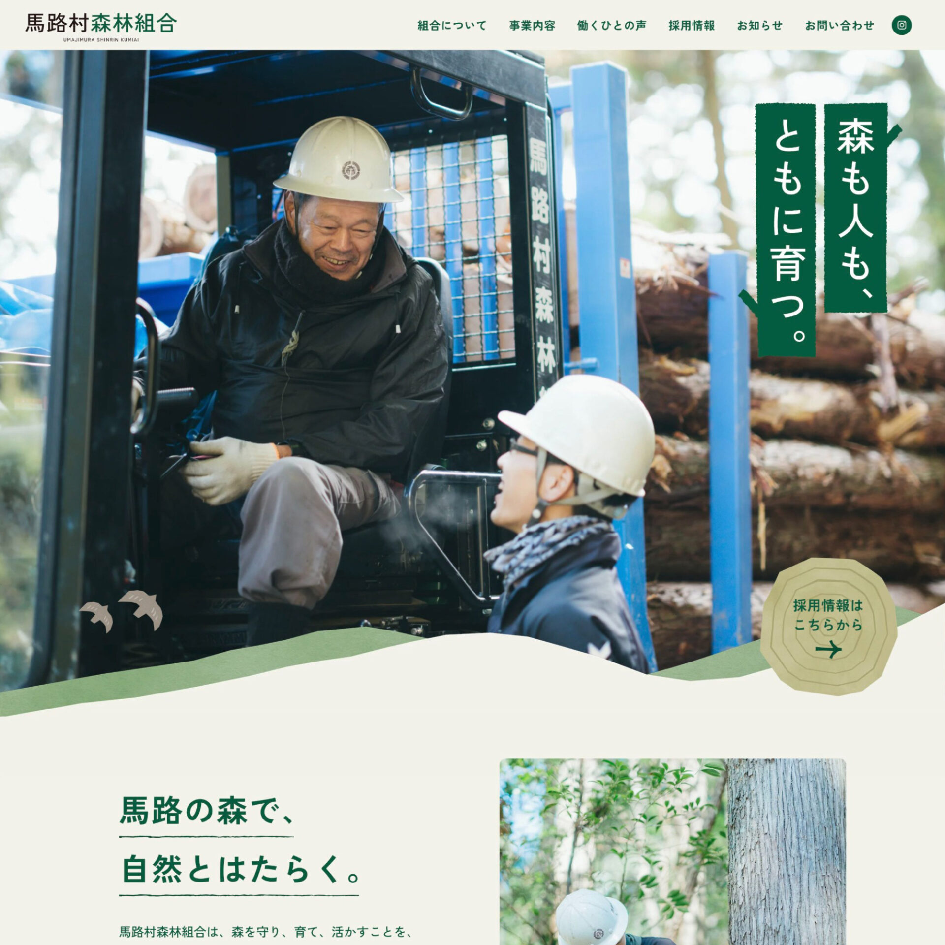 馬路森林組合